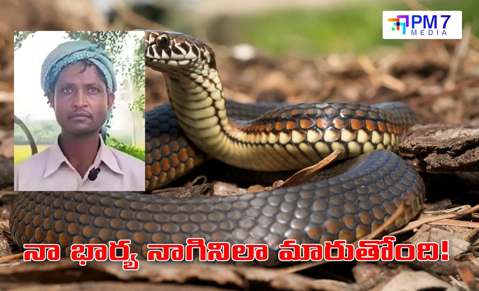 సీతాపూర్‌లో వింత ఫిర్యాదు: “నా భార్య నాగినిలా మారుతోంది, నన్ను కాటేస్తోంది సార్!”