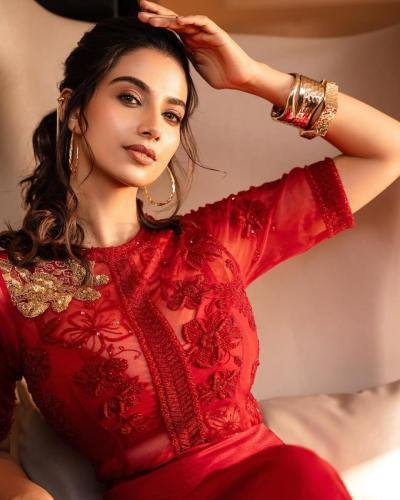 meenakshi chaudhary